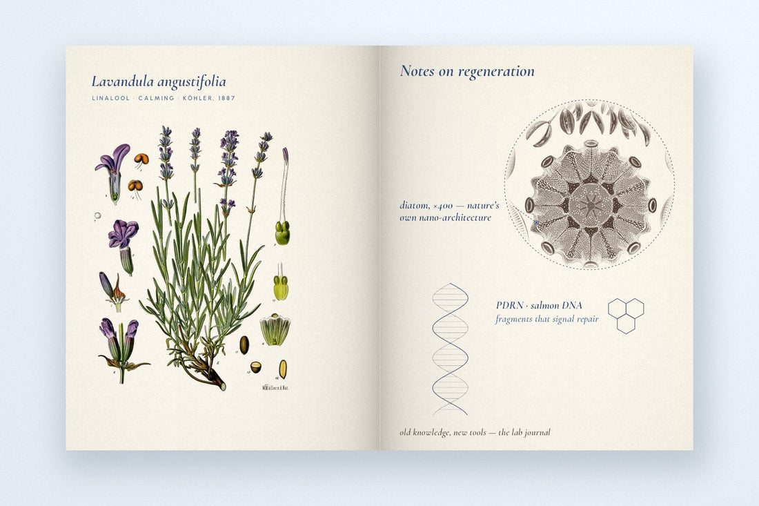 How to Navigate Skincare Lab: Concerns, Ingredients, Brands & the Skin Finder