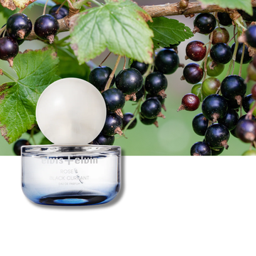 Rose & Black Currant Eau de Parfum