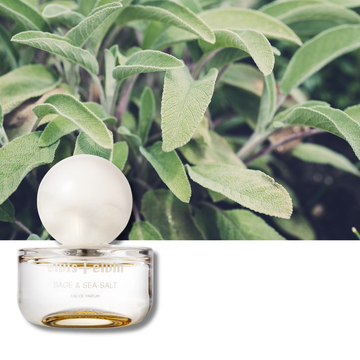 Sage & Sea Salt Eau de Parfum