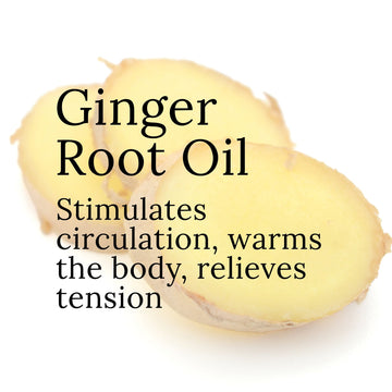 Ginger Body Oil