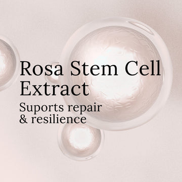 Rose Revitalizing Treatment Mask 3.0