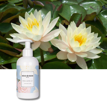 Rose & Water Lily  Hand & Body Lotion
