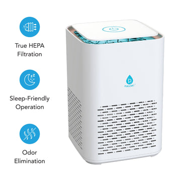 Clean Air & Aromatherapy Bundle – True HEPA Air Purifier with 12 Essential Oils