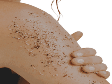 Organic Exfoliating Body Scrub -  5 Fragrances