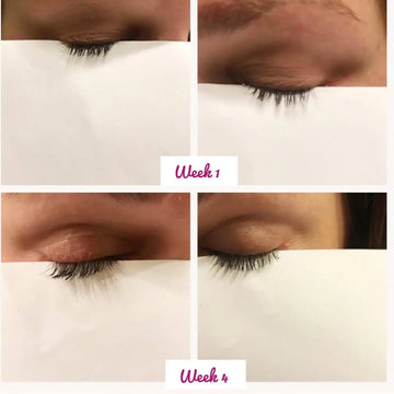 Wink Eyelash Serum + Botanicals