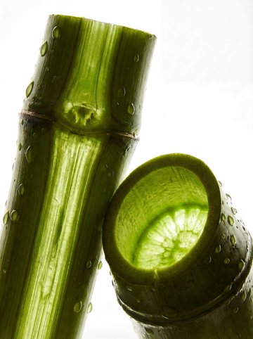 Bamboo Eau de Parfum