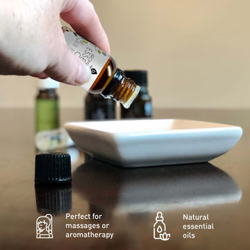 Aromatherapy Lovers – Triple 14-Pack Essential Oils Collection