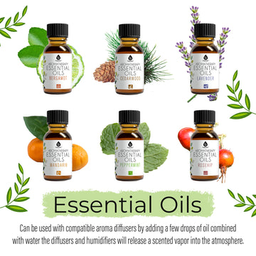 Aromatherapy Lovers – Triple 14-Pack Essential Oils Collection