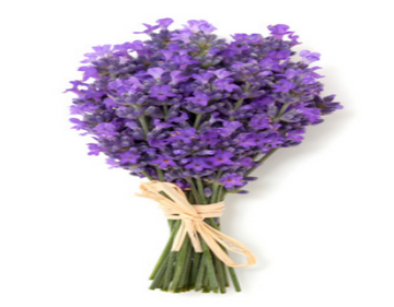 Exfoliating Organic Body Scrub Lavender Fragrance