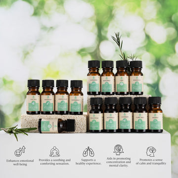 Seasonal Scents Christmas Essential Oils Collection