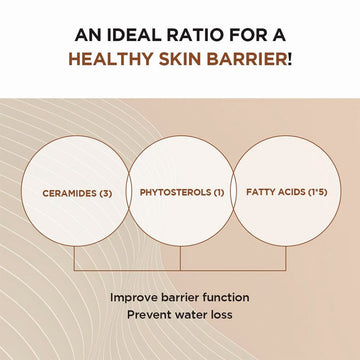 SKIN1004 Madagascar Centella Probio-Cica Intensive Ampoule