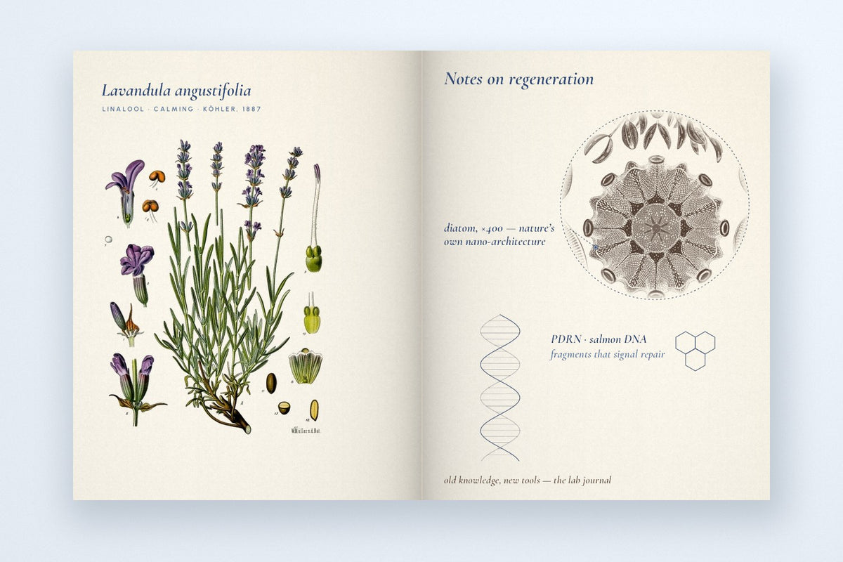 Open lab journal with lavender plate, diatom and DNA notes